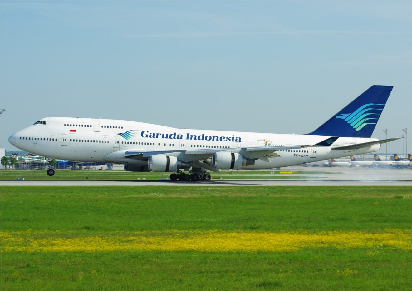 Bee forces flight delay in Indonesia