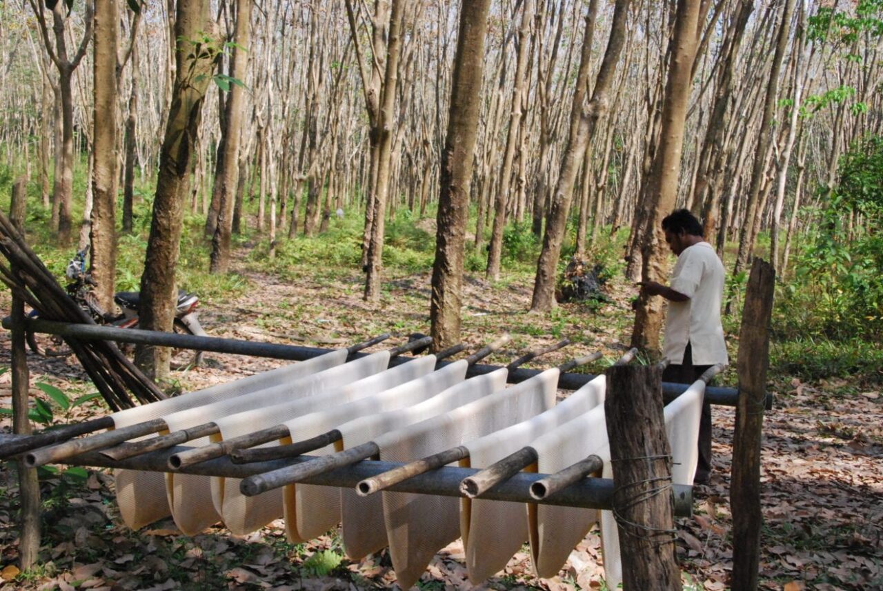 Malaysia, Indonesia & Thailand to shore up rubber price