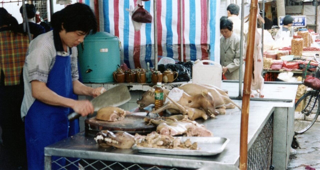 Dogs being butchered in Guangdong China 1999