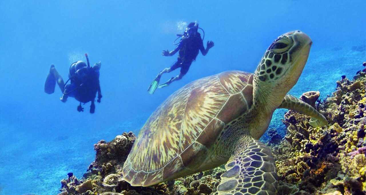 The Quiet Off The Beaten Path Escape in Gili Air1