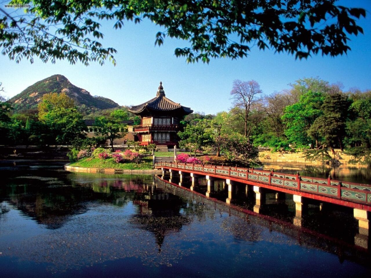seoul south korea ecommerce online retail