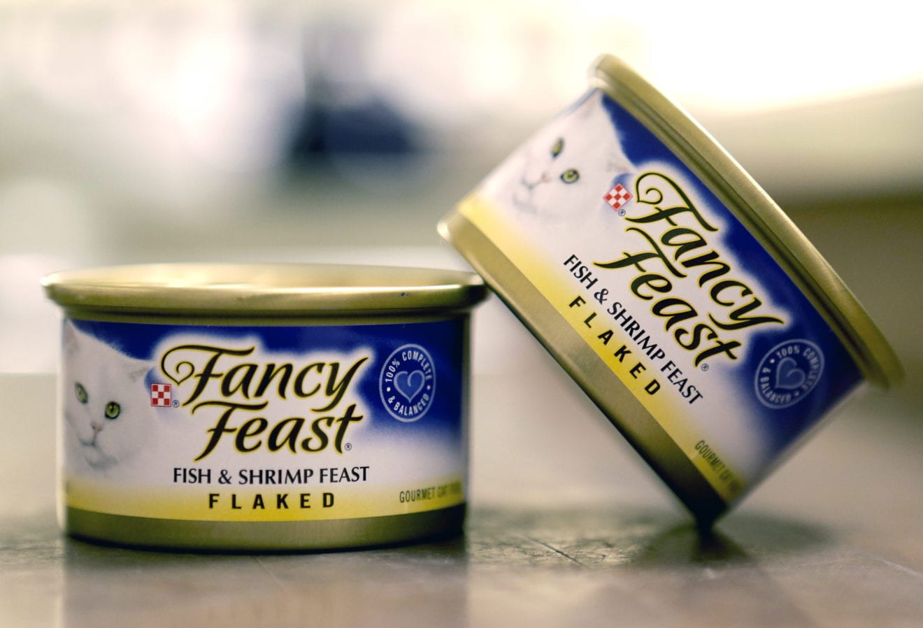 Nestle confirms labor abuse among its Thai seafood suppliers