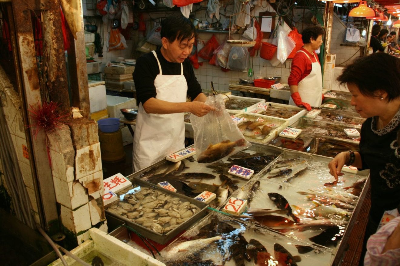 Study Shows Popular Fish Consumed in Hong Kong under Serious Threat