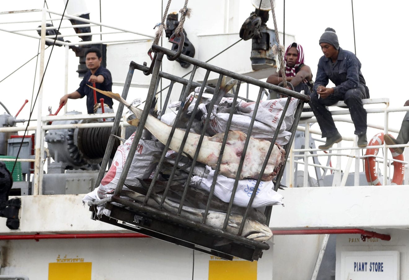 Vietnam’s Seafood Exports Surge by 8% in Q1 2026, Powered by Strong Chinese Demand