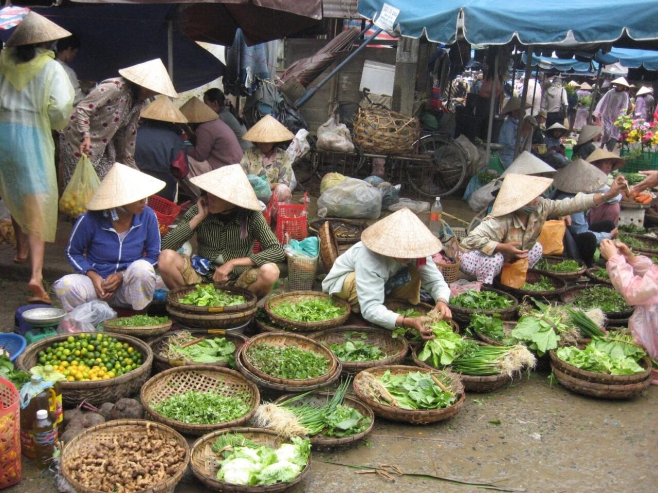 Thais taking firm steps towards Vietnamese market