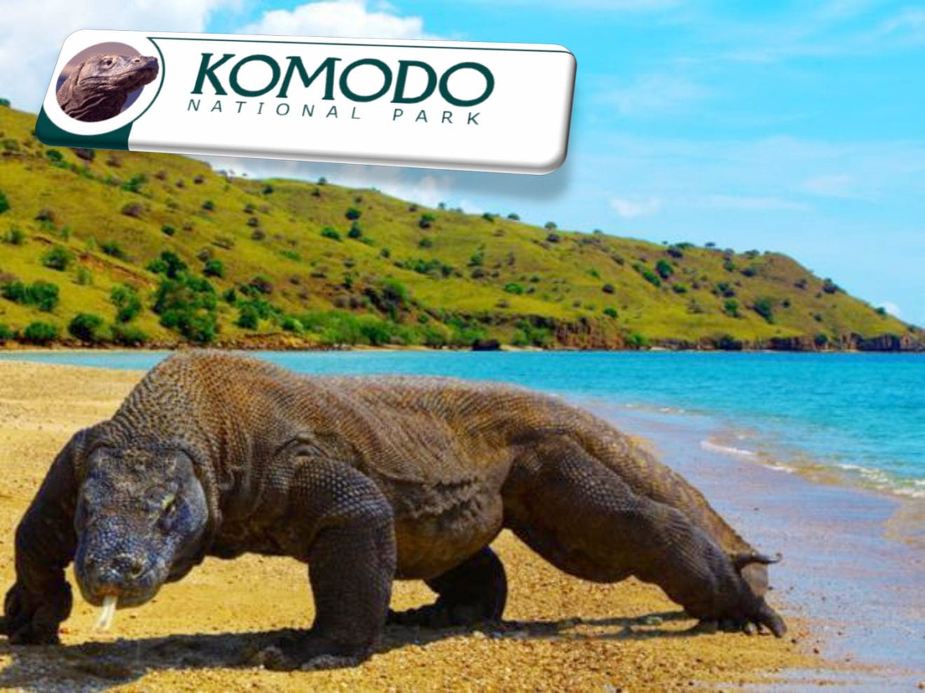 Komodo Island named Indonesia`s main marine tourist destination