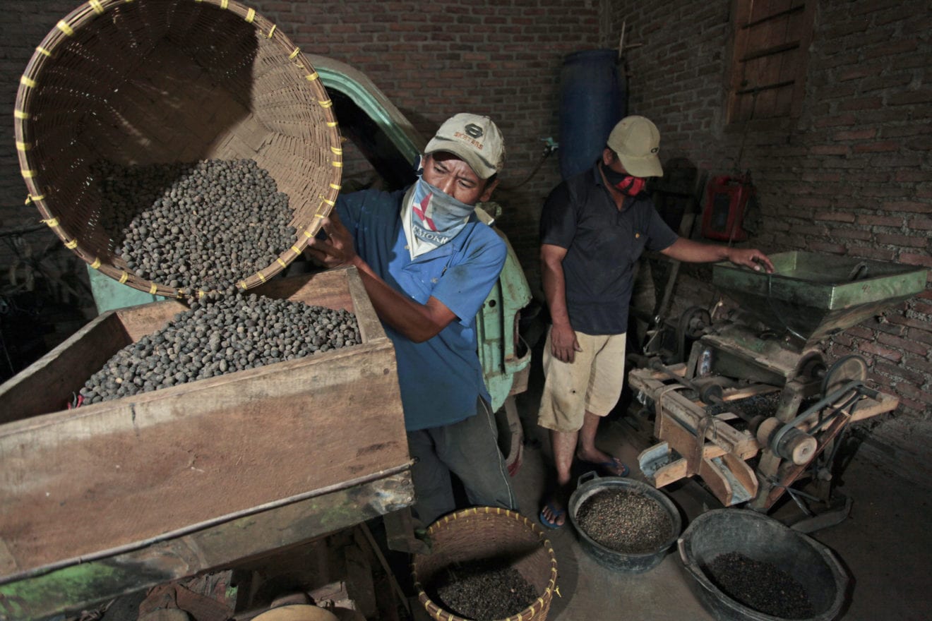 Lampung exports of instant coffee growing