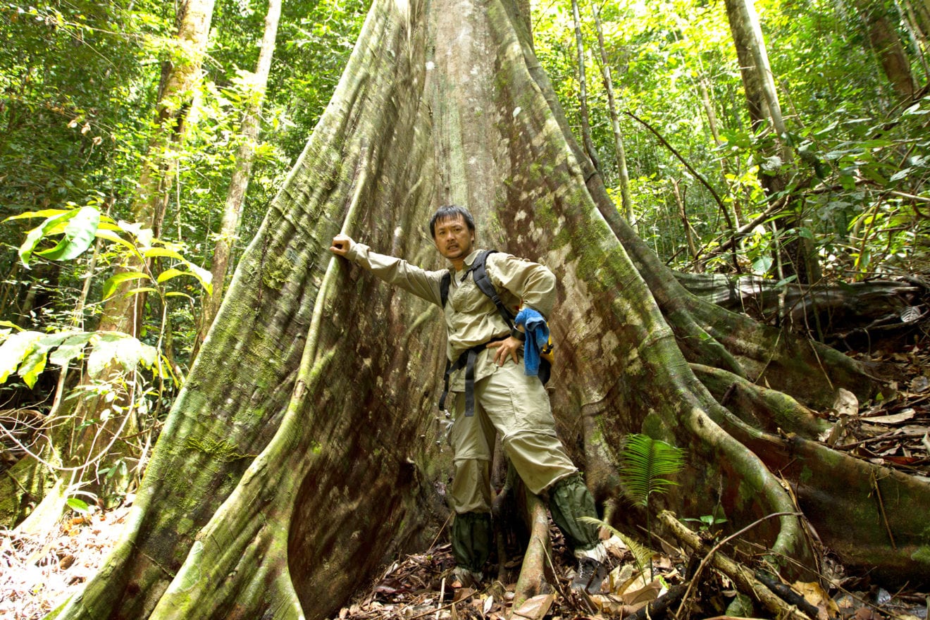 Two Malaysian firms plan agarwood venture in Laos