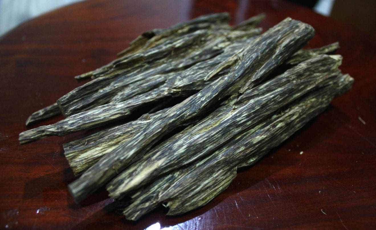 Investors sought for top-yielding Oud production project in Laos