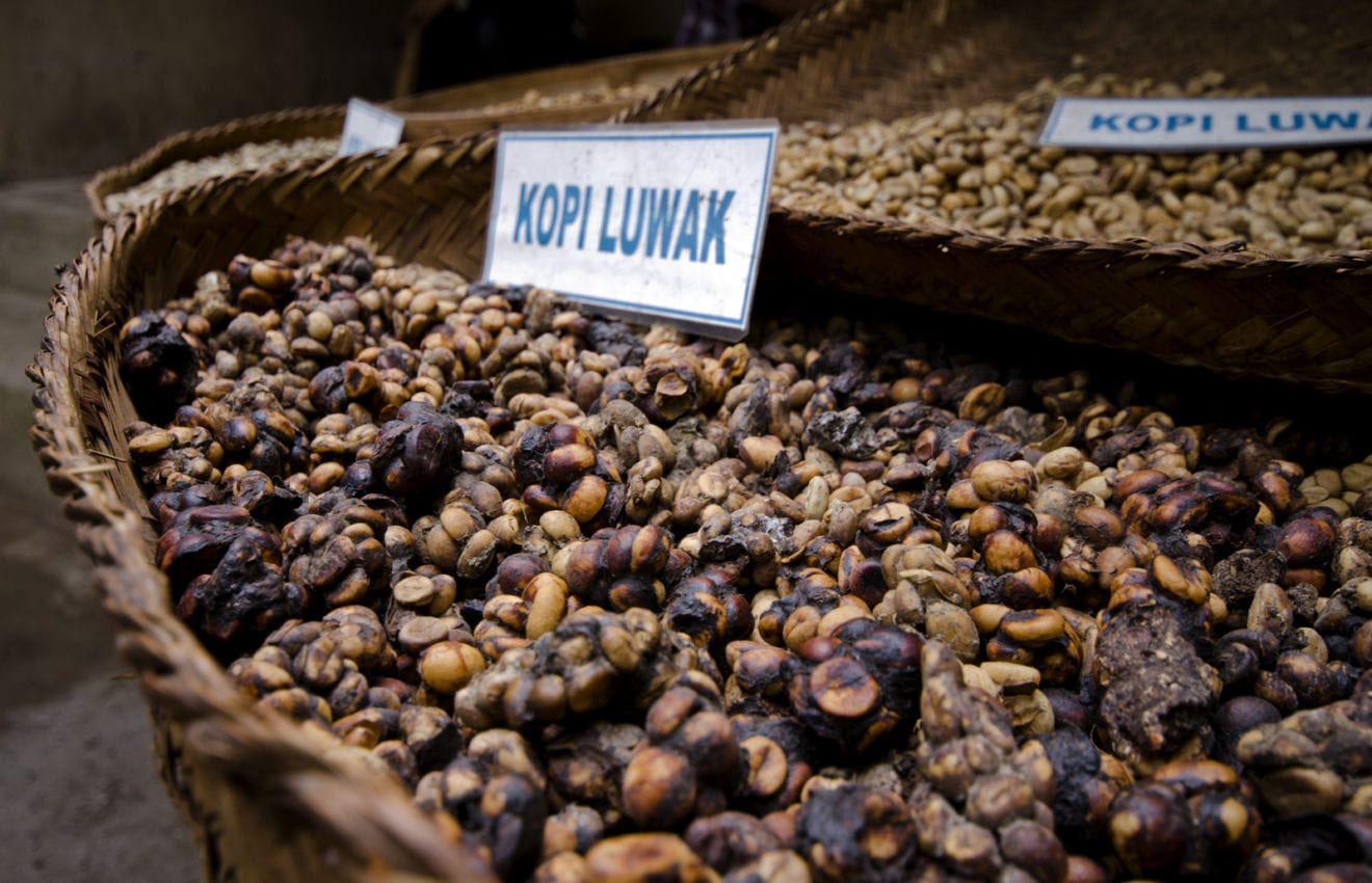 Indonesia`s coffee output up 1% last year