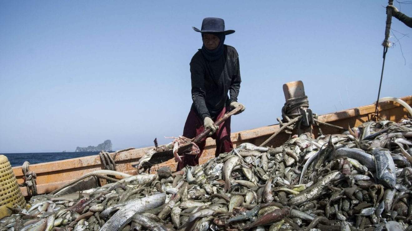 Indonesia to expand seafood market to England