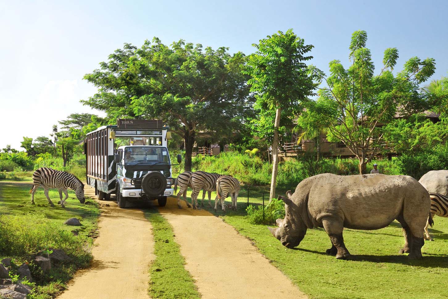 Indonesia to woo more visitors from India
