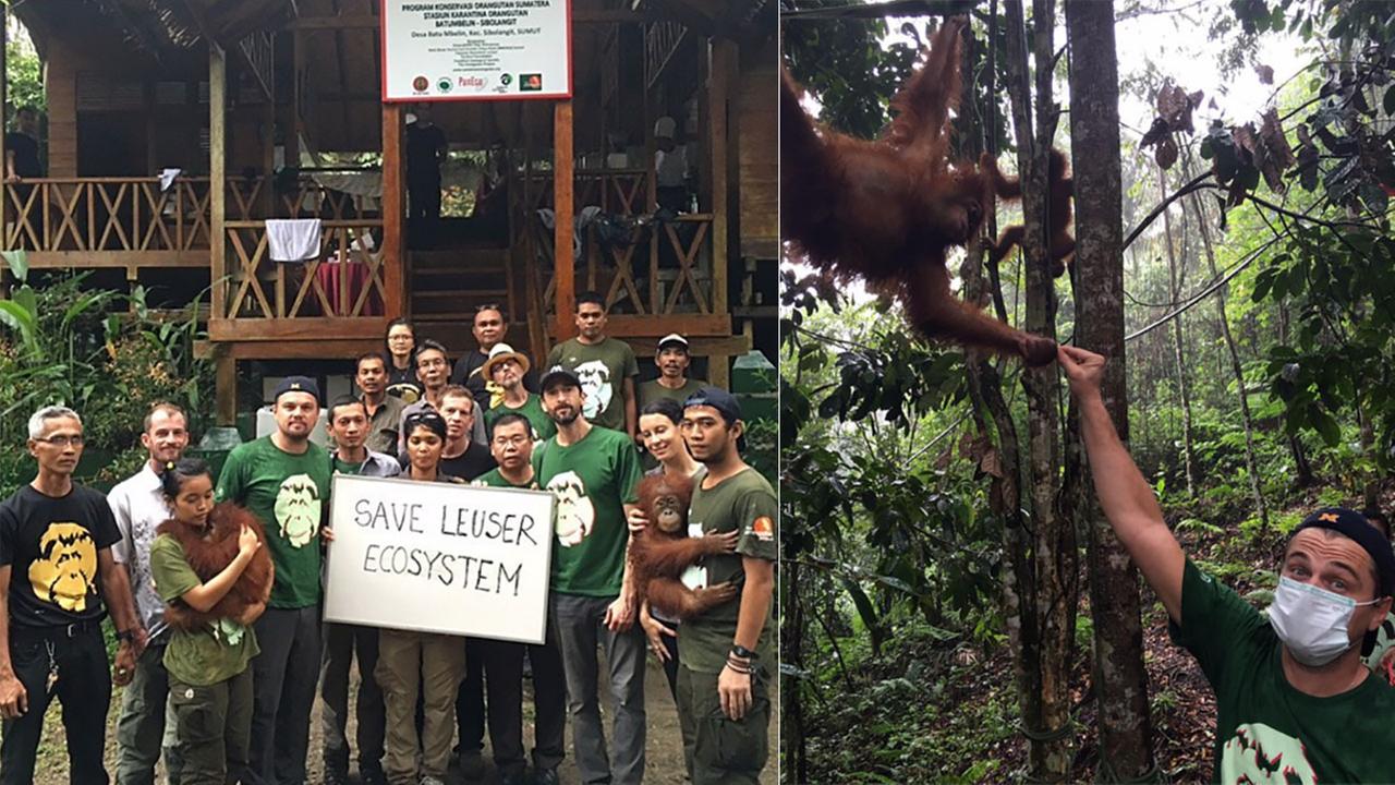Ban on Leonardo DiCaprio’s Indonesia visit after Rain Forests comment?