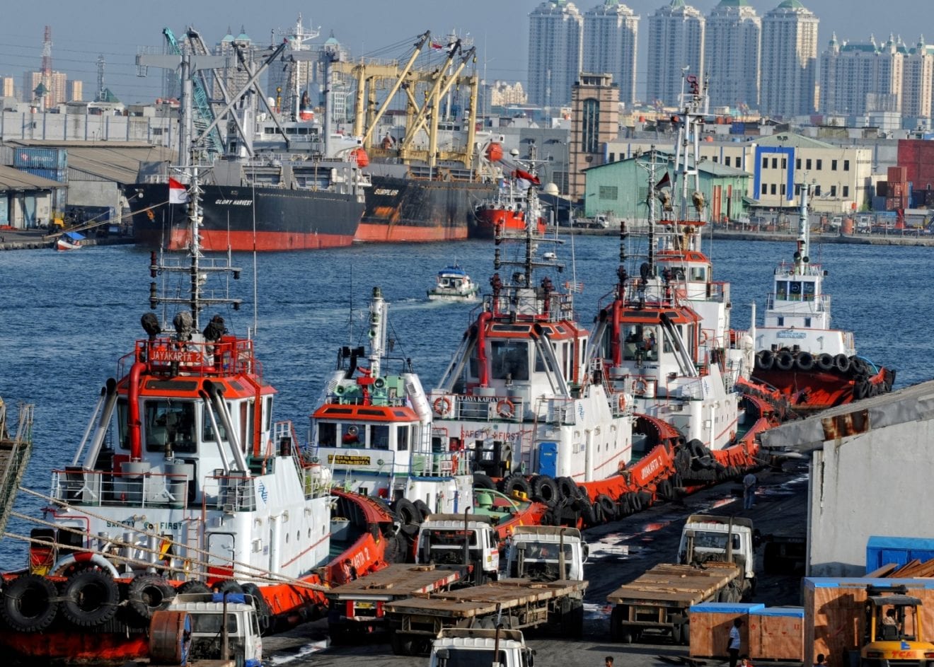 President Jokowi to Inaugurate 5 Ports in Eastern Indonesia