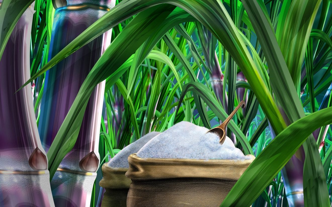Vietnam imposes anti dumping duty on Thai-origin sugar