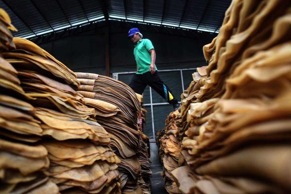 rubber market