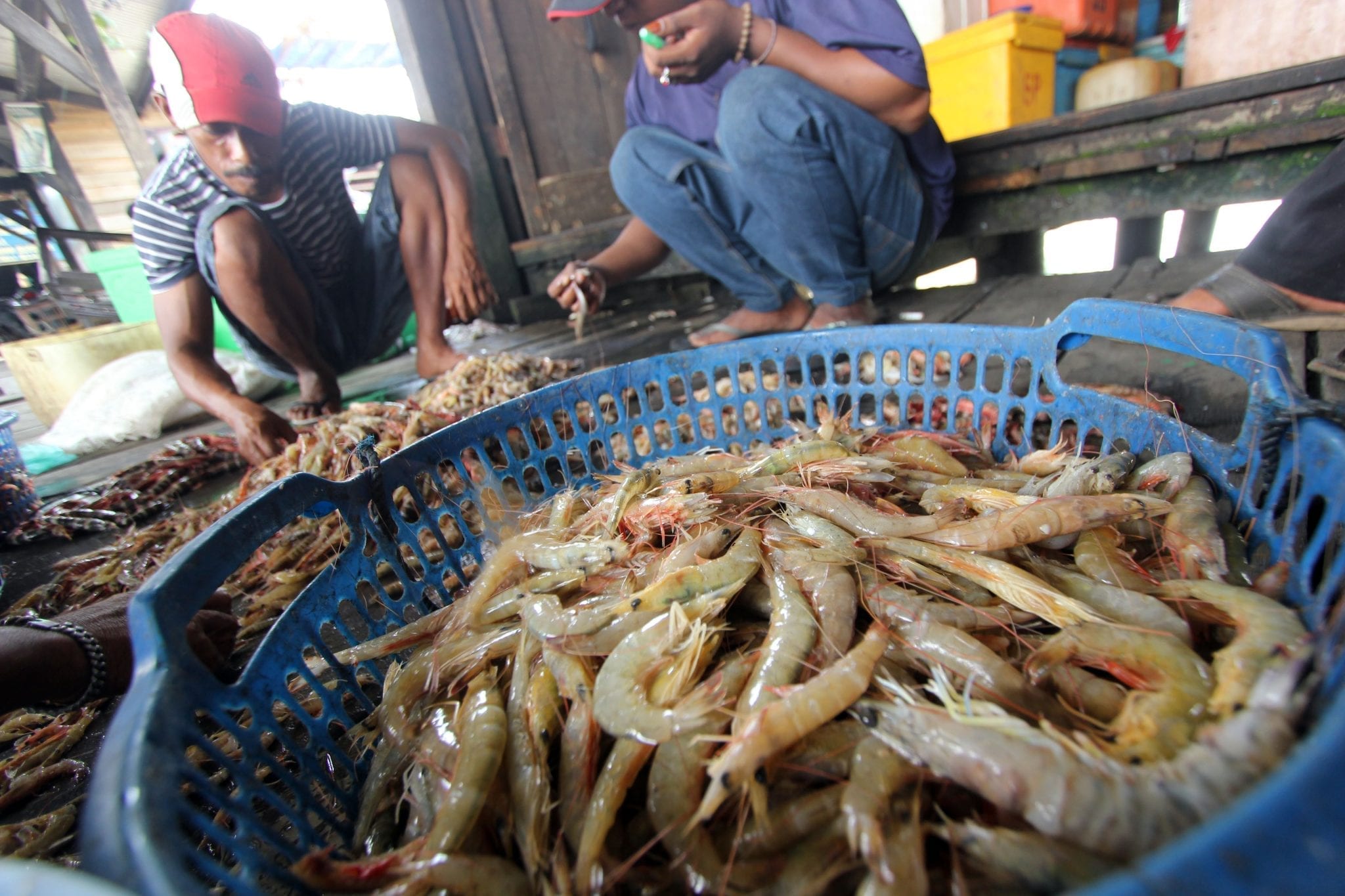 Vietnam requests Australia roll back ban on shrimp imports