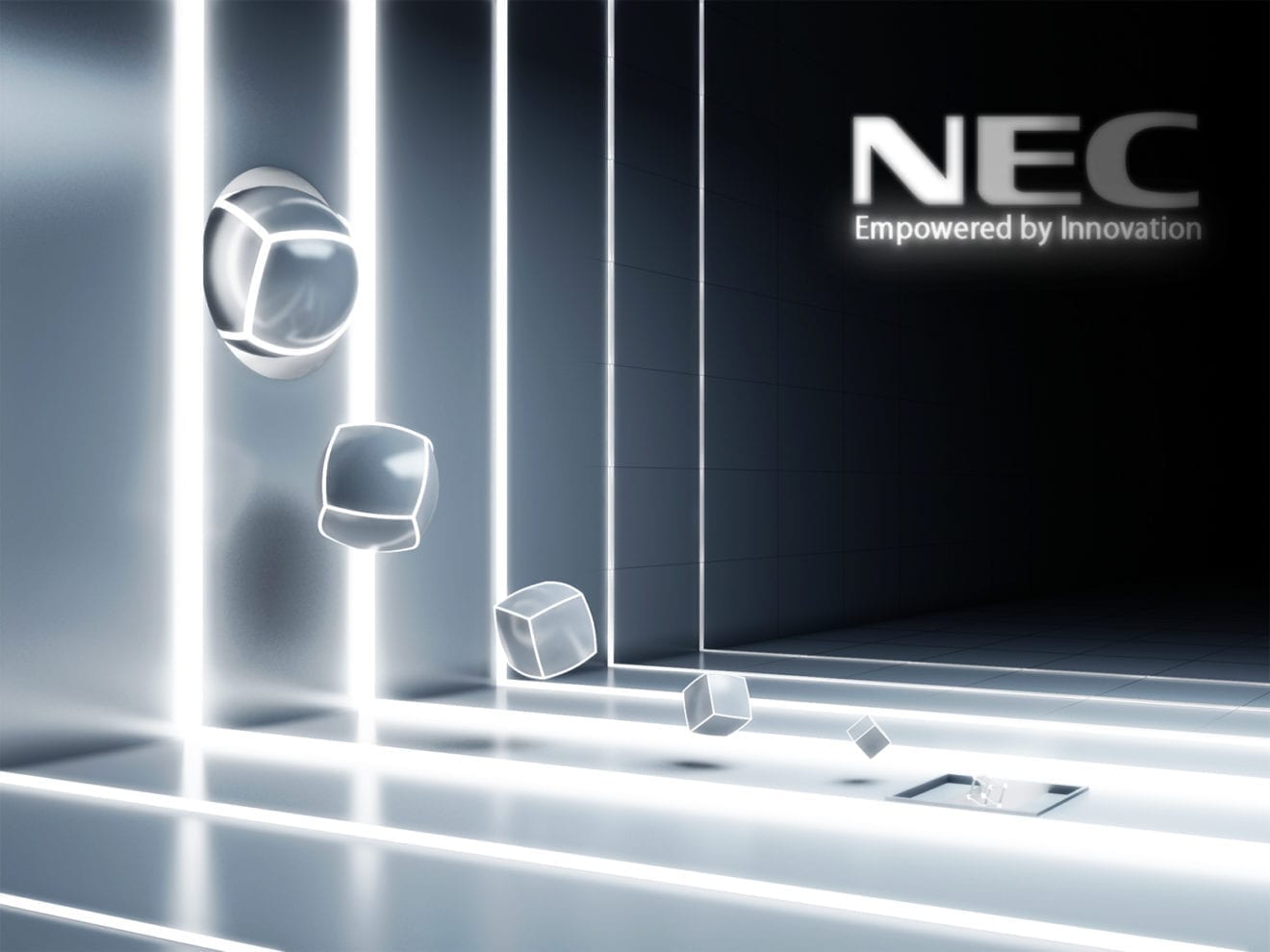 NEC, Netcracker hold joint trial optical fibre network