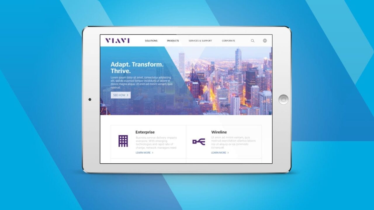 viavi slide 4