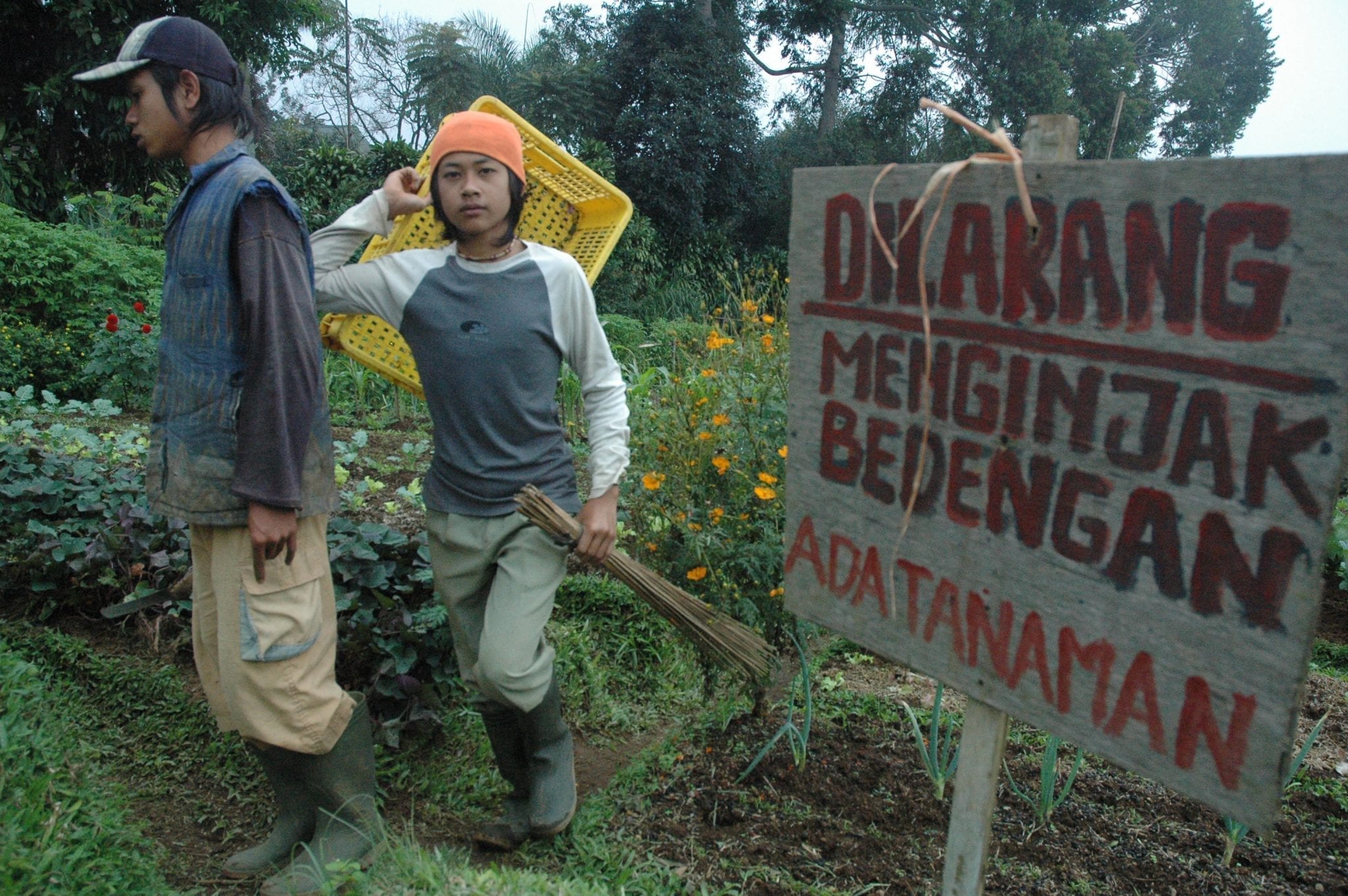 Indonesia Desperately Needs Young Farmers