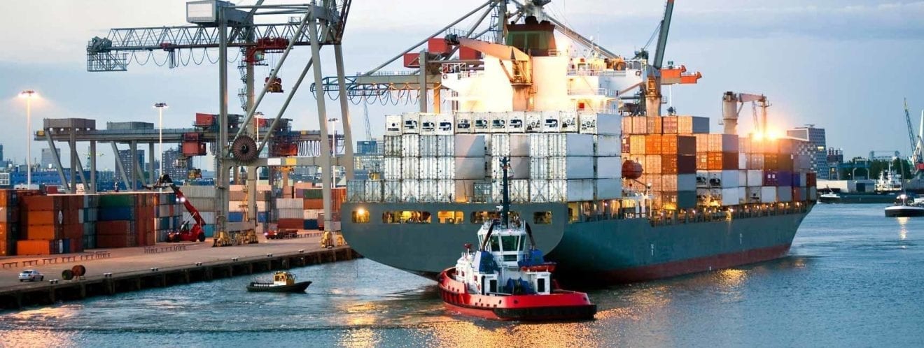 Ace Turtle, CEVA to enable freight forwarding for international brands in Southeast Asia