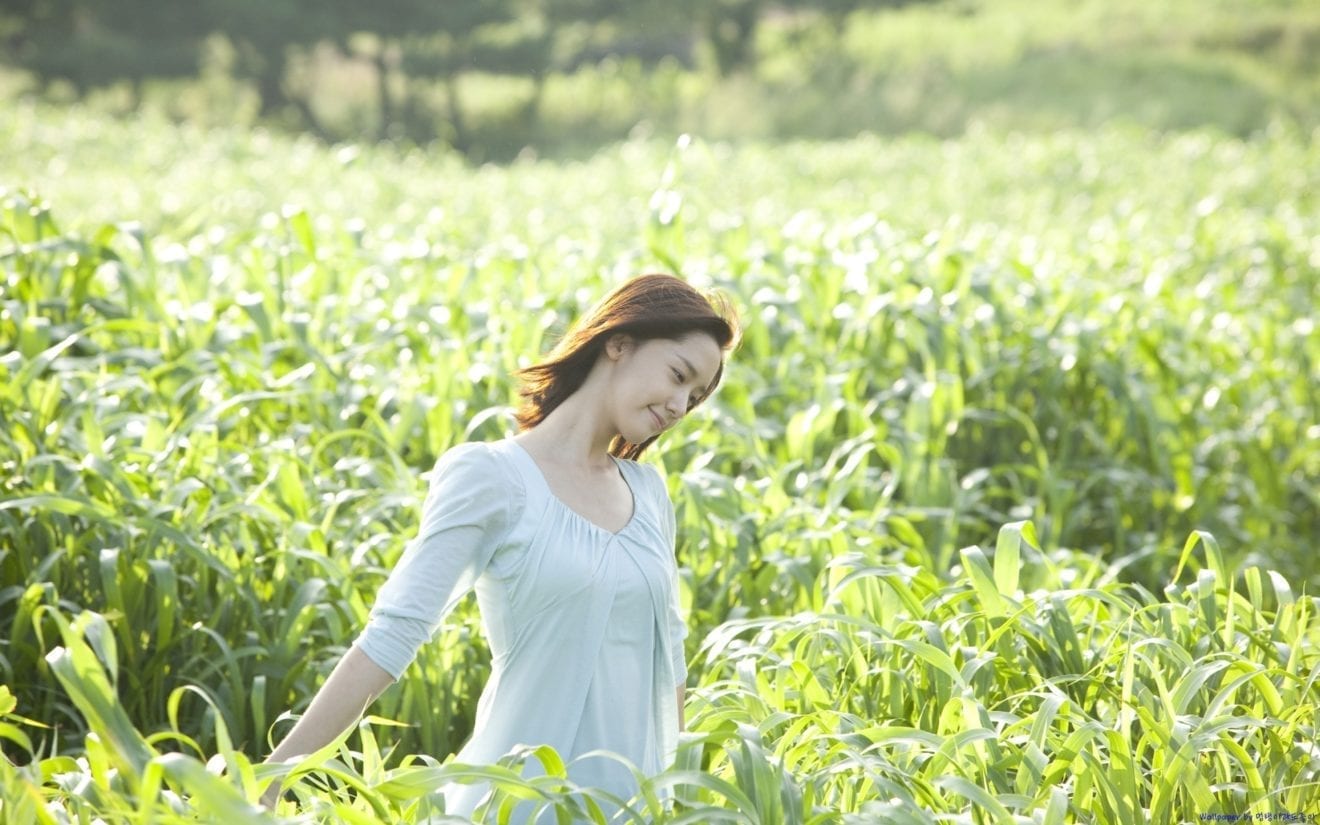 Innisfree Vietnam to set footprint in online presence