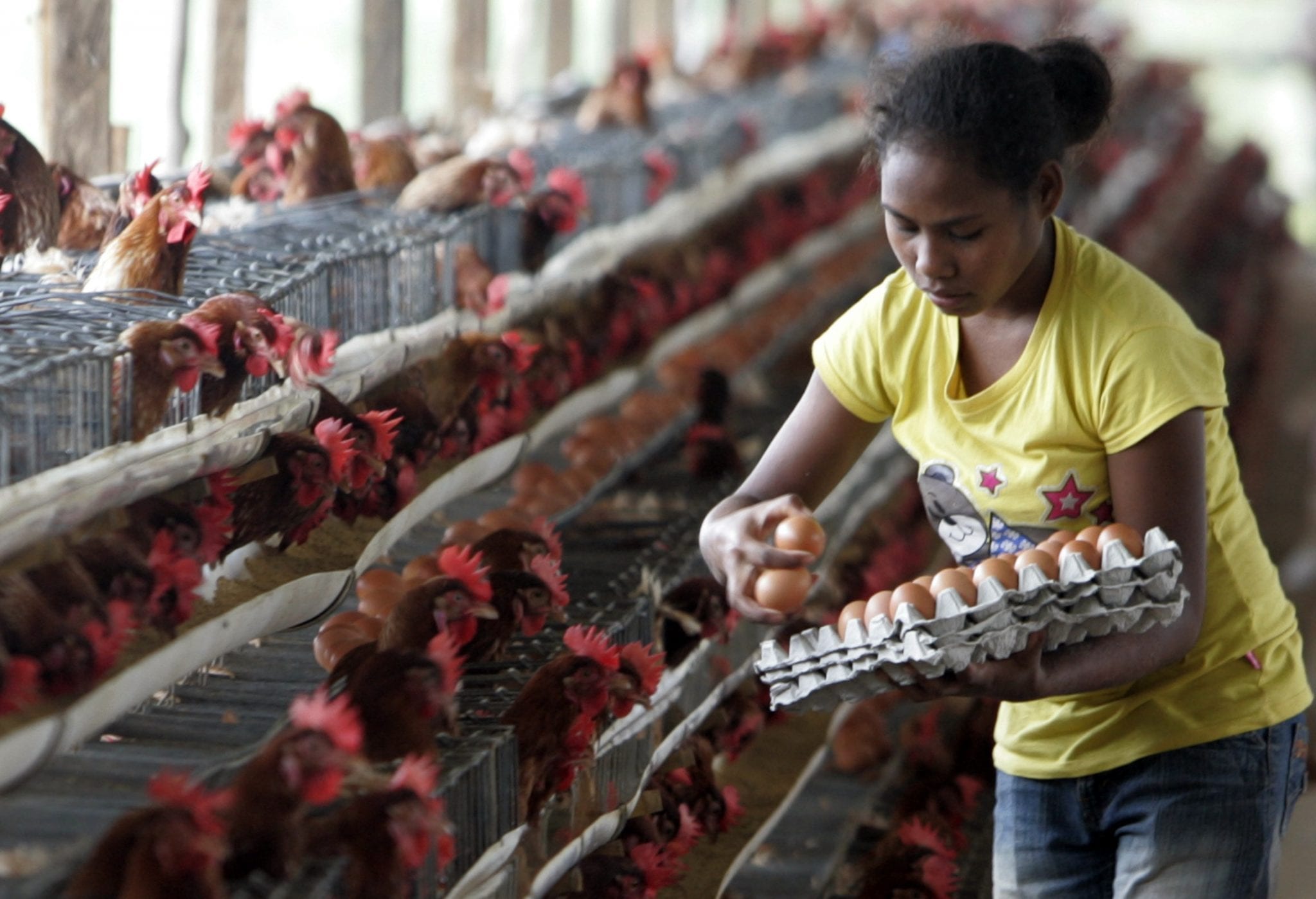 Vietnam’s agricultural exports to China expected to rise