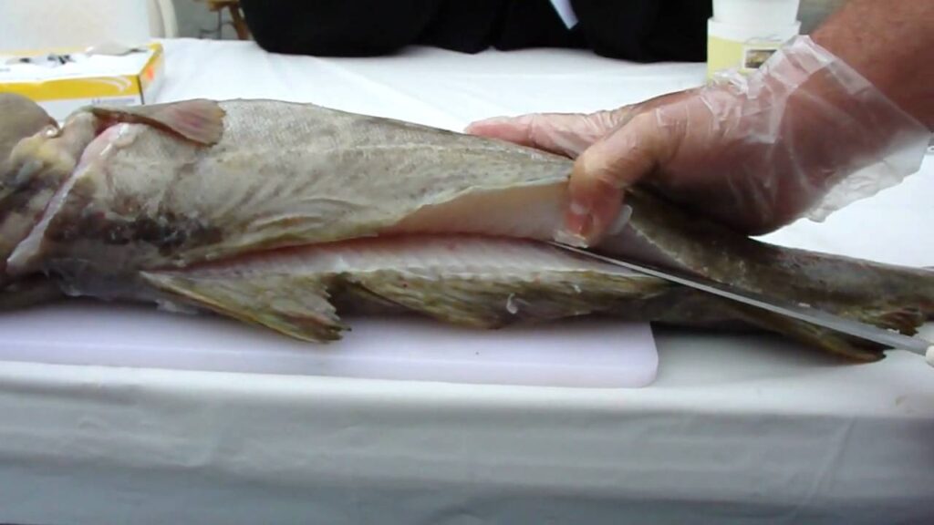 codfish