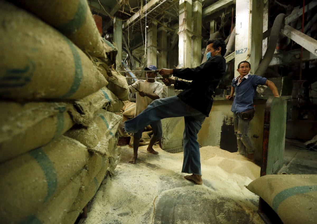 Tech boost for Asia’s rice sector