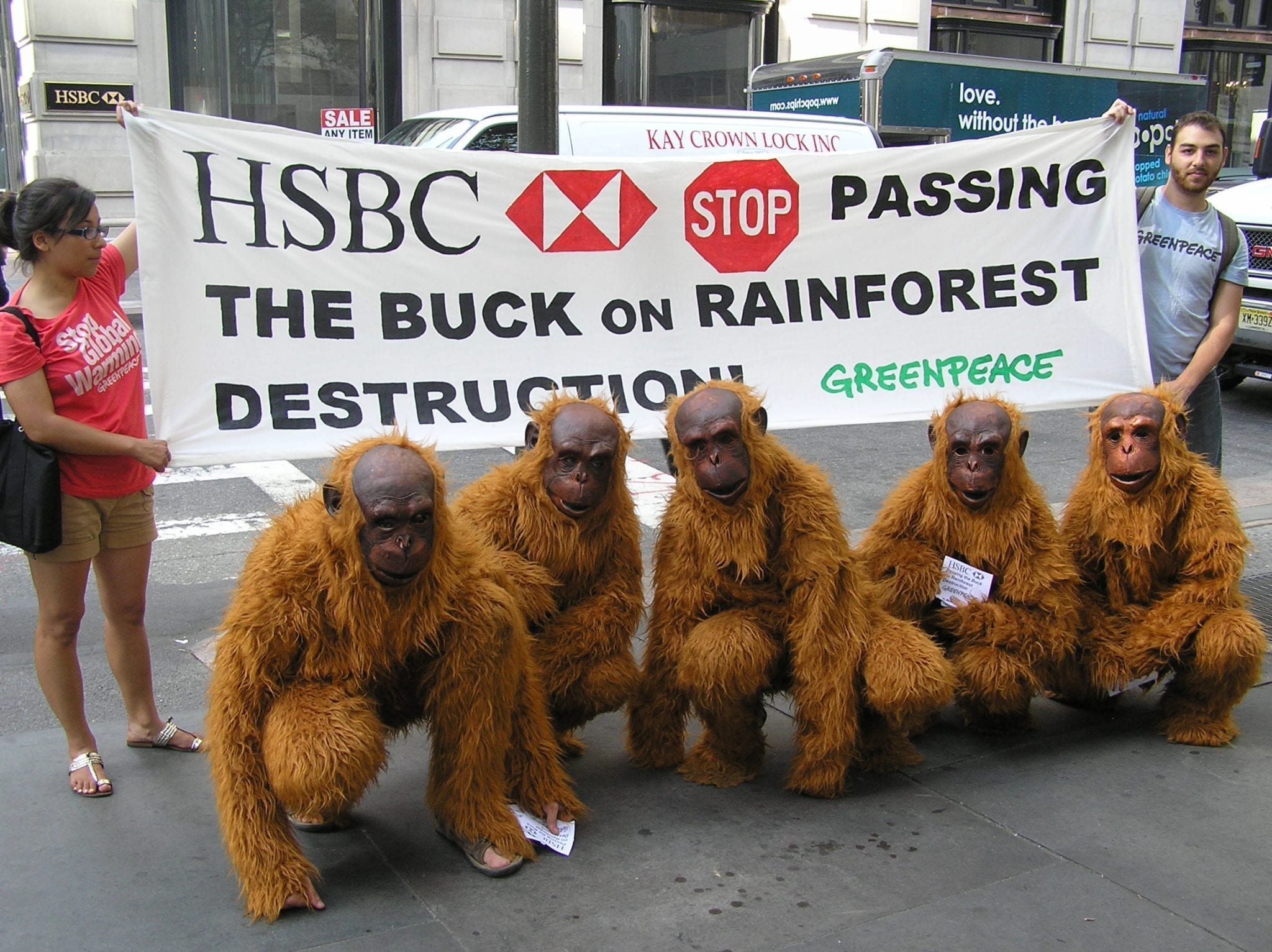 Greenpeace Claims HSBC Helped Financing Deforestation