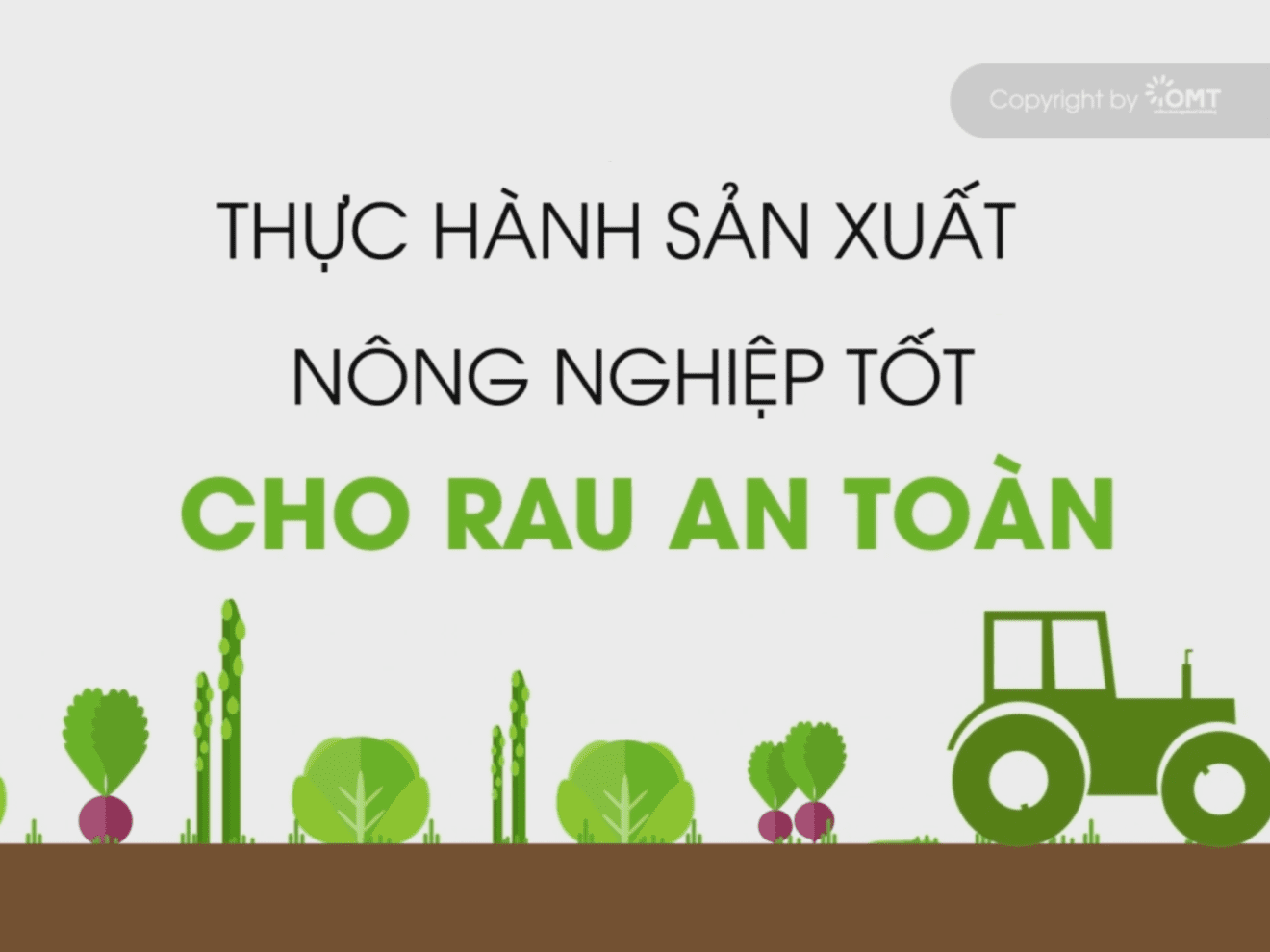 City begins programme to trace vegetable origins