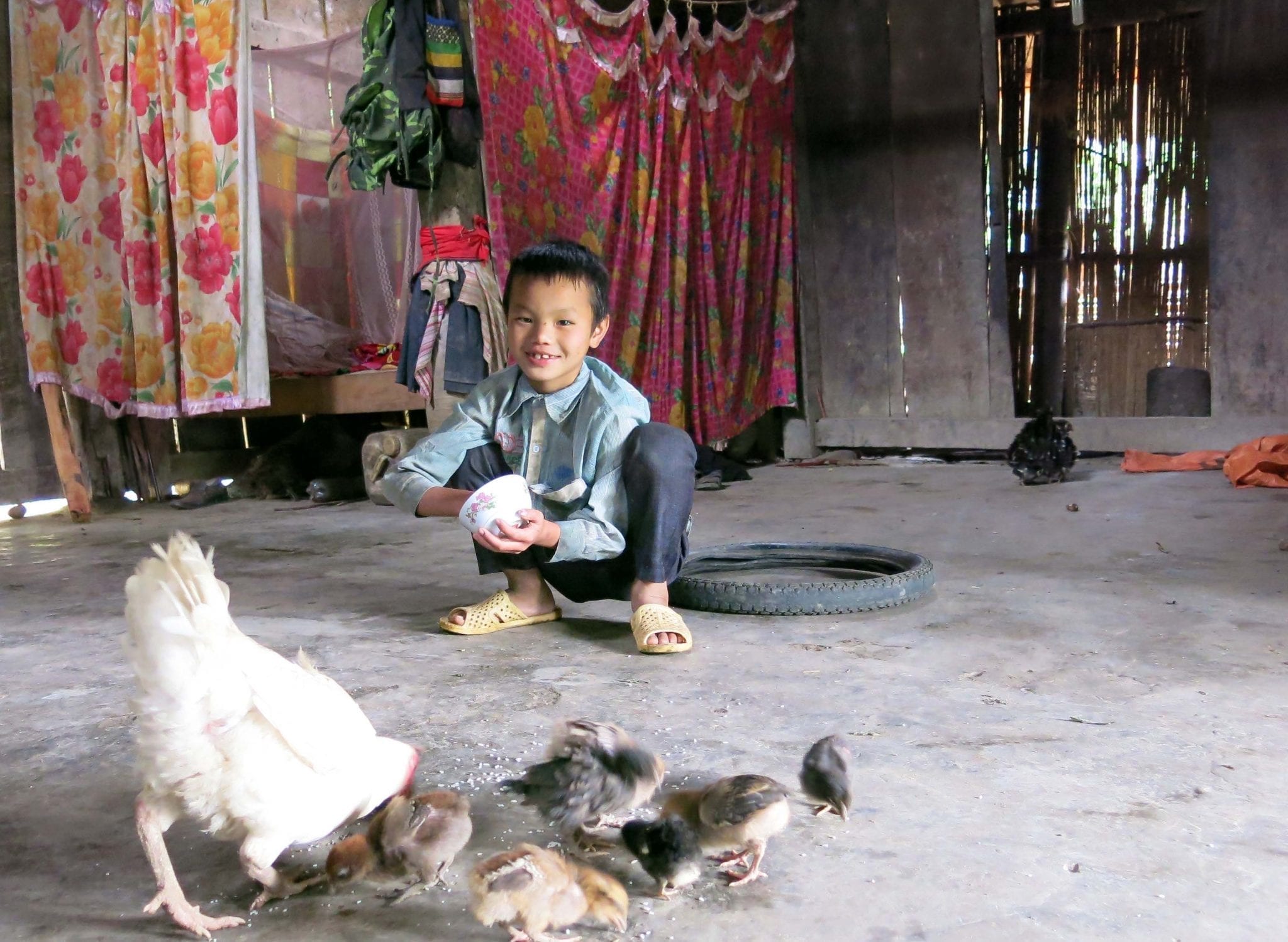 Vietnam may export chicken to choosy markets