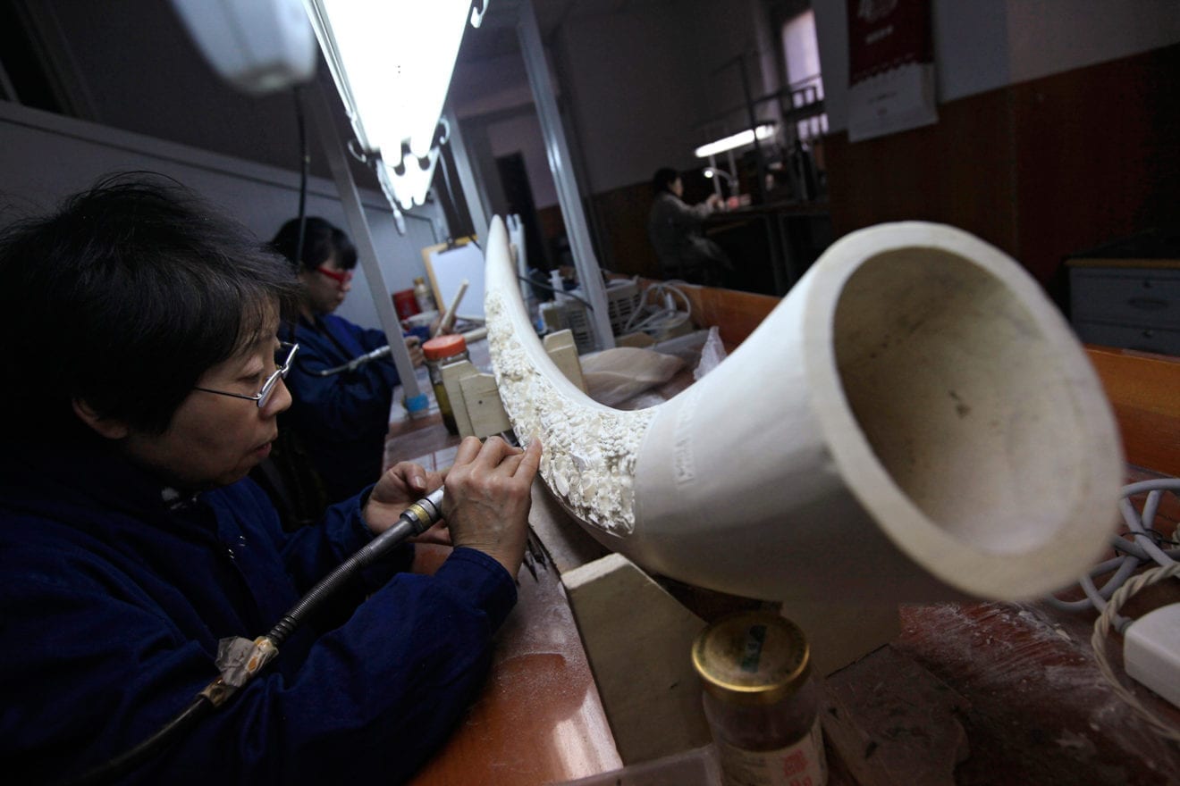 China ivory ban a big win for elephants , if done properly