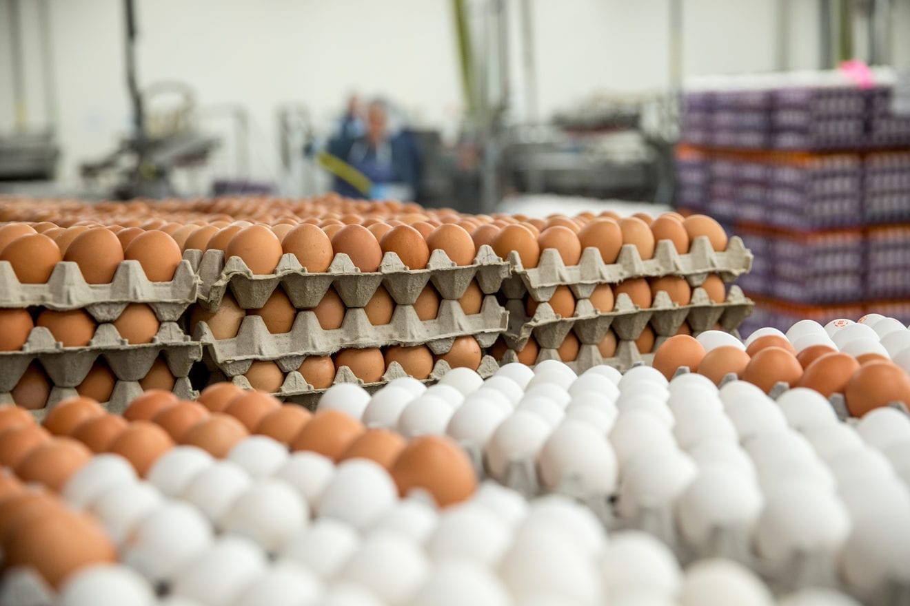 Australian egg farmers have sent the first shipment of eggs to South Korea