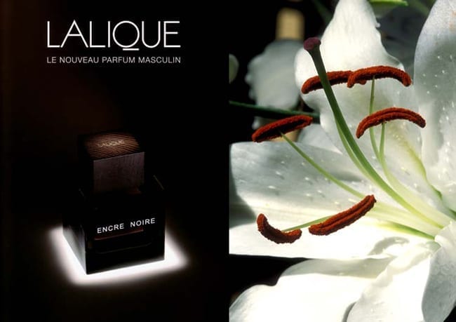 lalique encre noire man ad