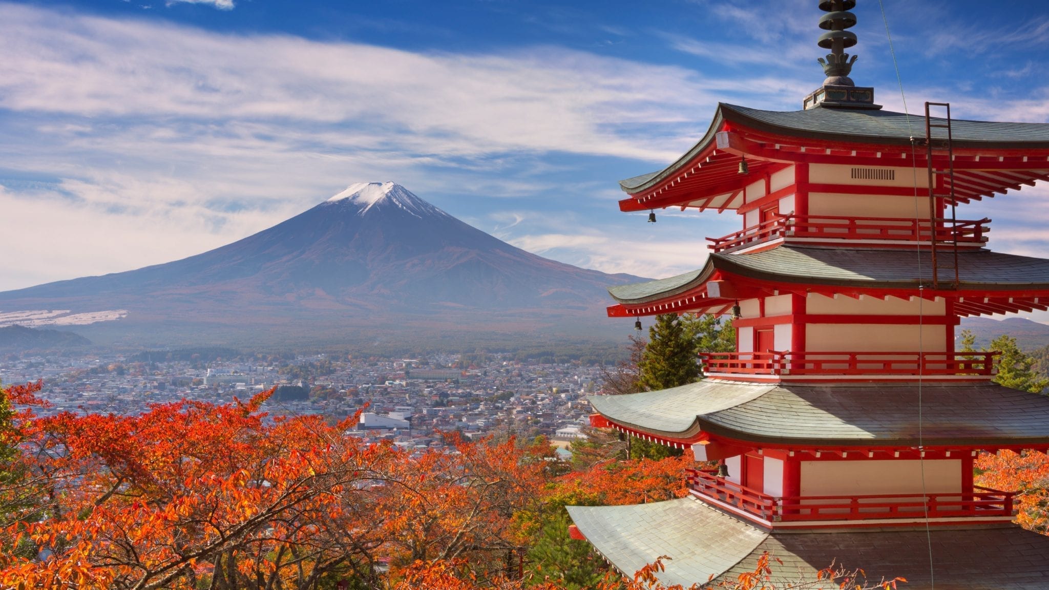 Panic buying underpins Japanese retail sales growth
