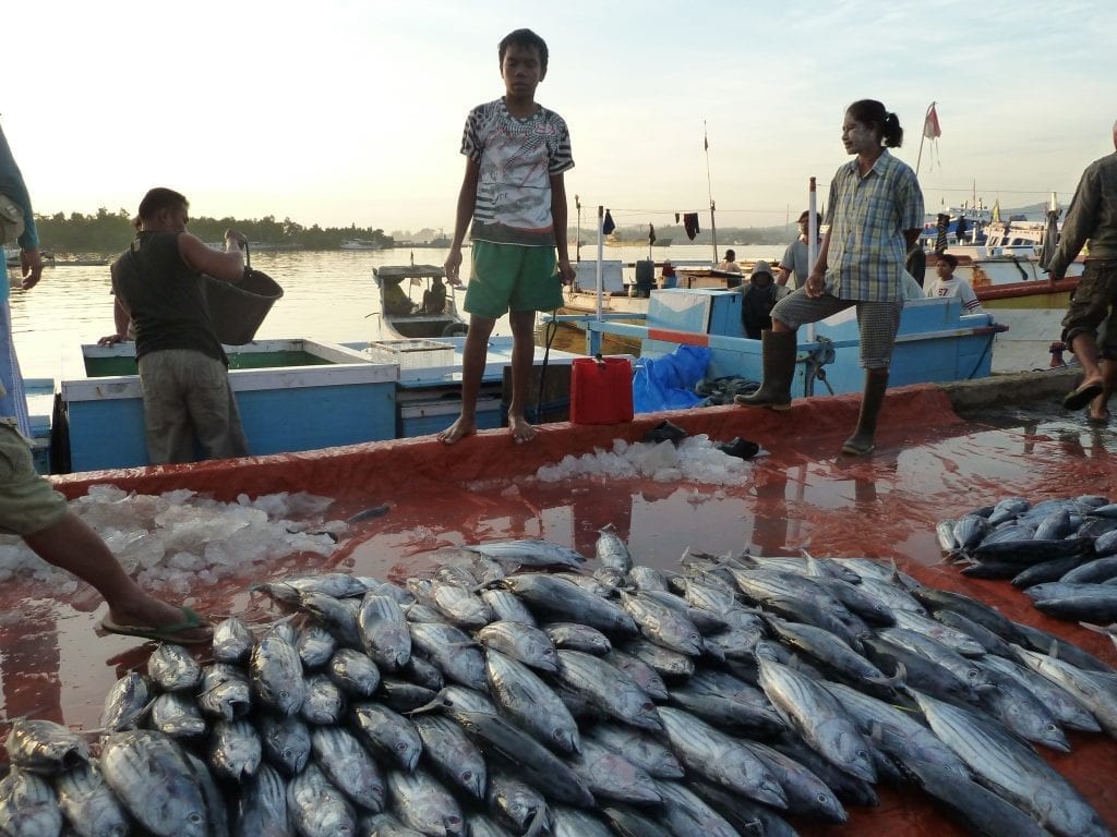 Fishery Academy