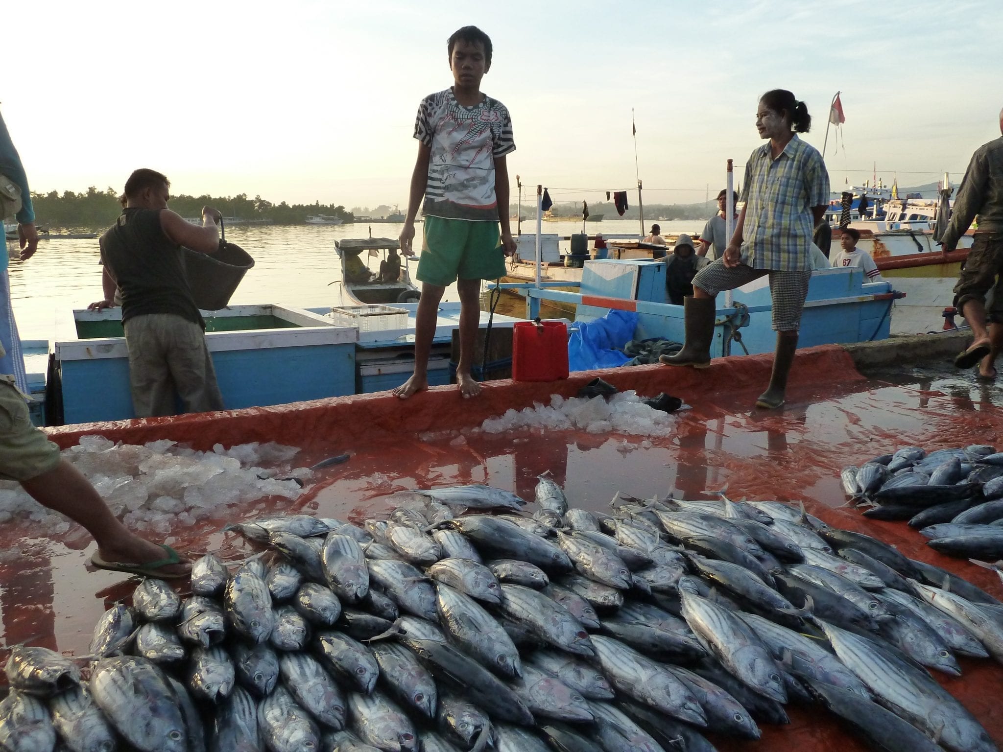 International Fish Force Academy Officially Opens