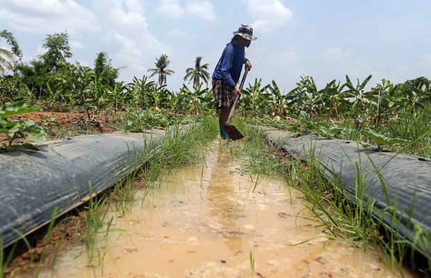 Rubber firms bounce back from poor 2020 as demand