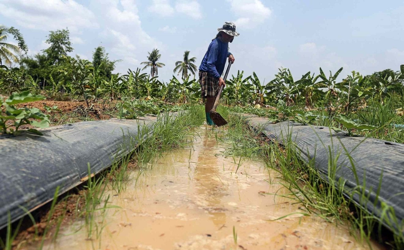 Fertilizer imports from Russia rise by 60 percent