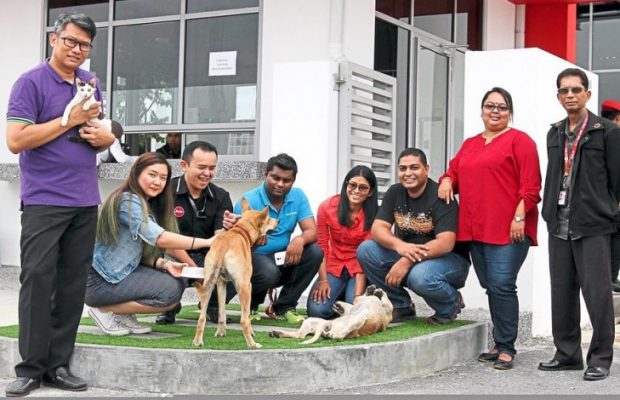 Big points for AirAsia’s animal shelter