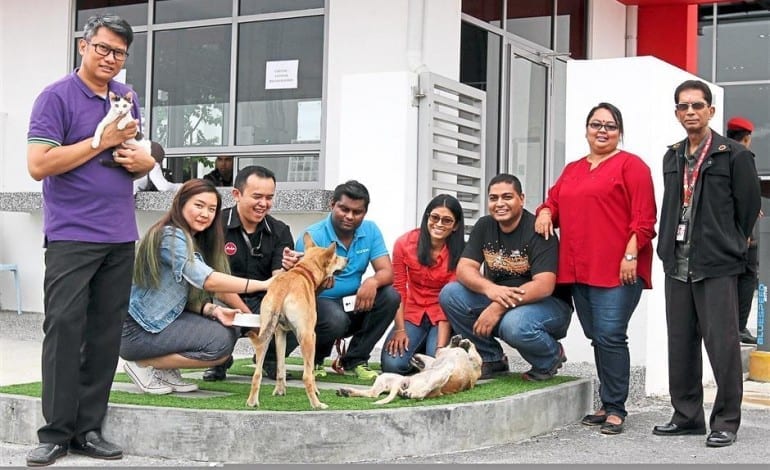 Big points for AirAsia’s animal shelter
