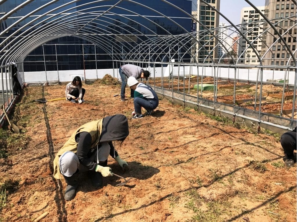 BLX Korea Installs Urban Farm in Center of Seoul 2