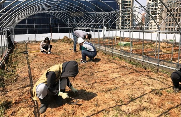 Bolloré Logistics Korea Installs an Urban Farm in the Center of Seoul