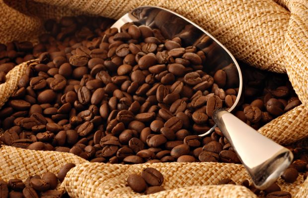 Coffee Beans