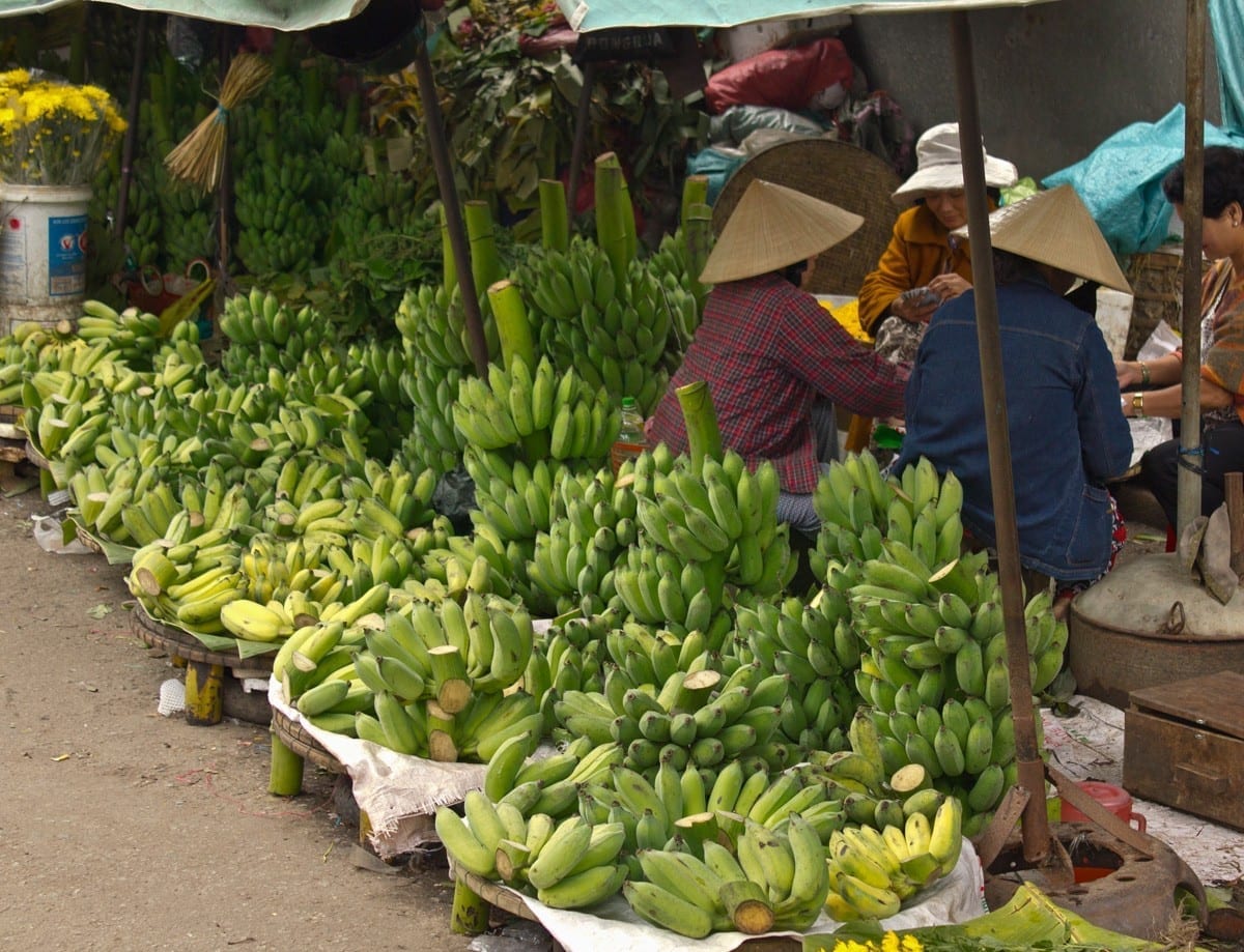 Vietnam fruit exports have to meet high standards in foreign markets