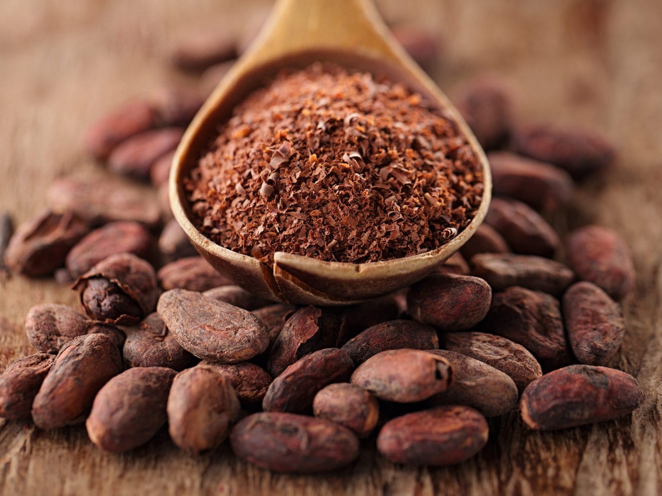Japanese investor to build cocoa factory in Gorontalo