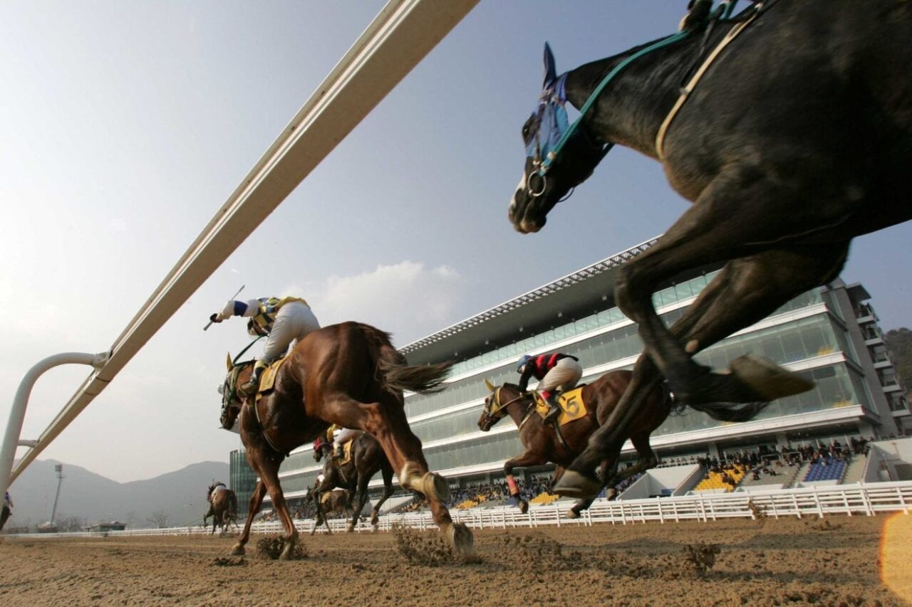 racecourse