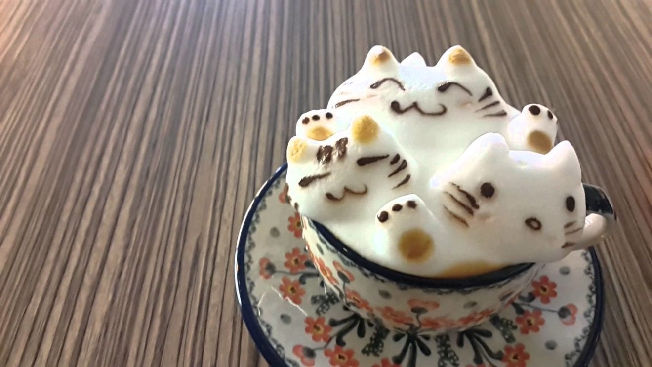 My Cofi cafe goes canine
