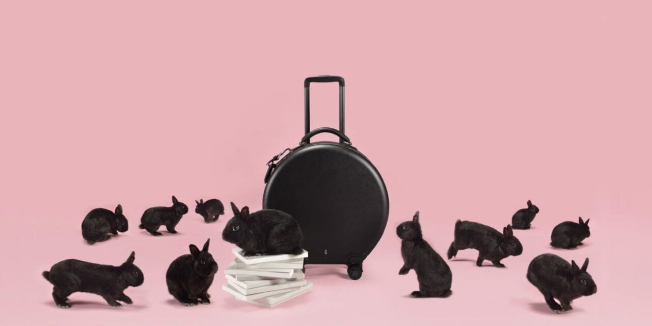 Ookonn landing with special luggage at DFS